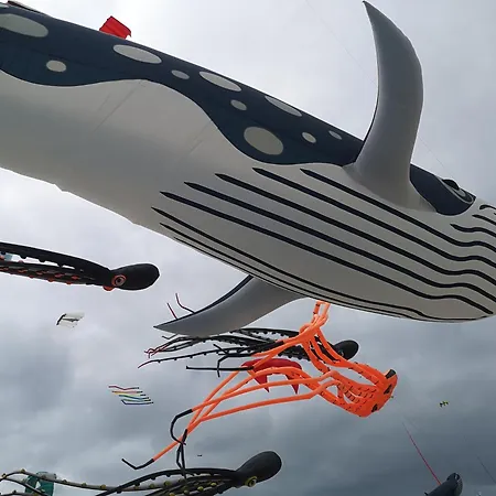 With Sea Views Appartement